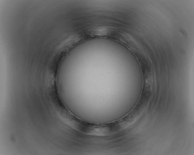 X0000112050555200908111352