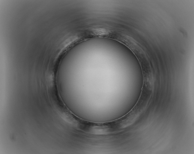 X0000112050556200908111352