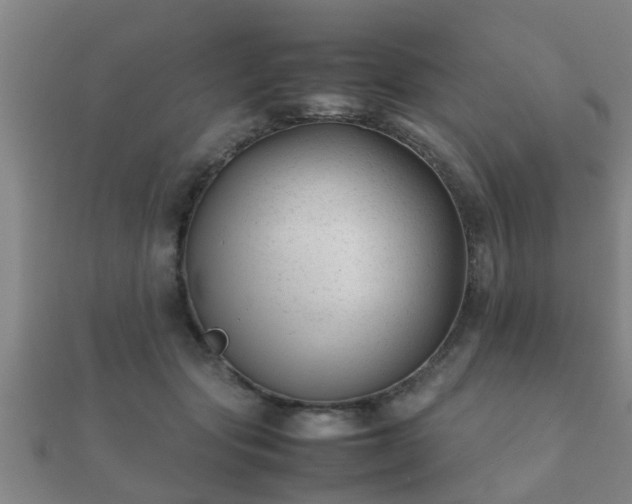 X0000112050557200908111352