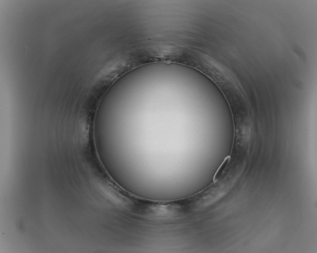 X0000112050558200908111352