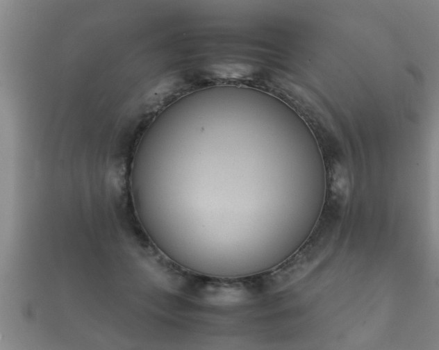 X0000112050559200908111352