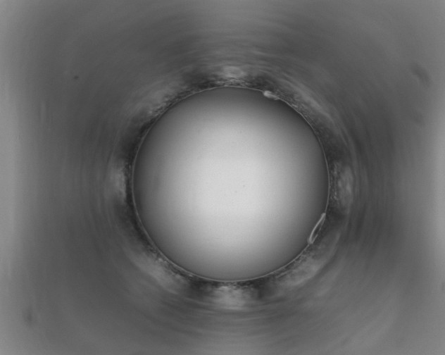 X0000112050562200908111352