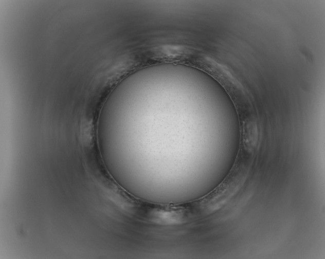 X0000112050563200908111352