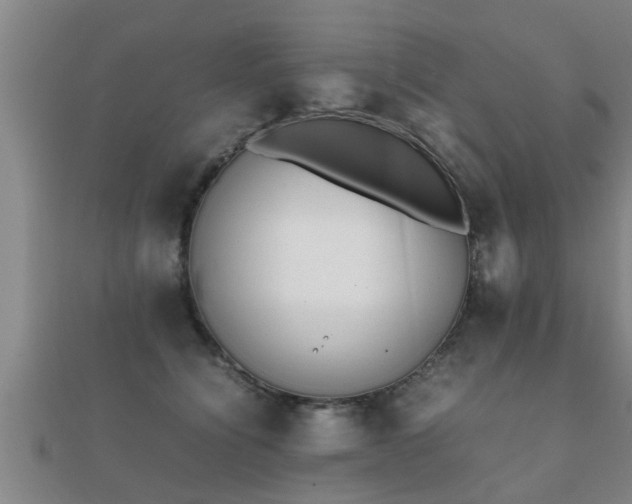 X0000112050564200908111352