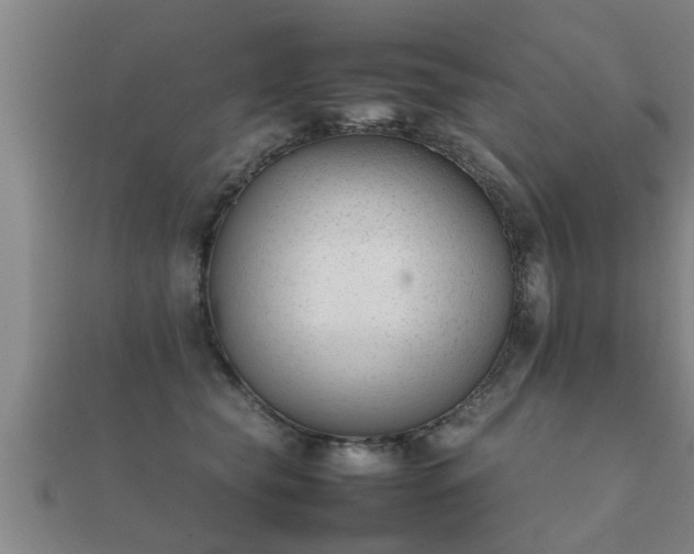 X0000112050565200908111352