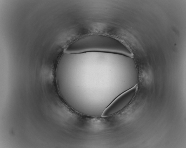 X0000112050566200908111352