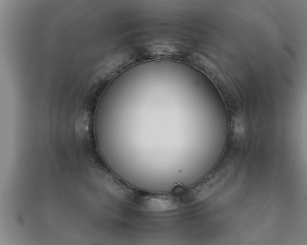 X0000112050567200908111352