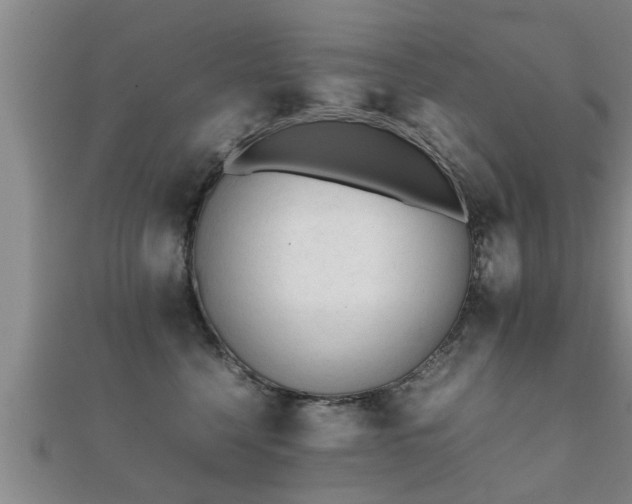 X0000112050568200908111352