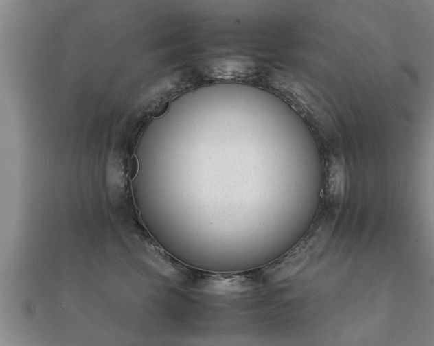 X0000112050569200908111352