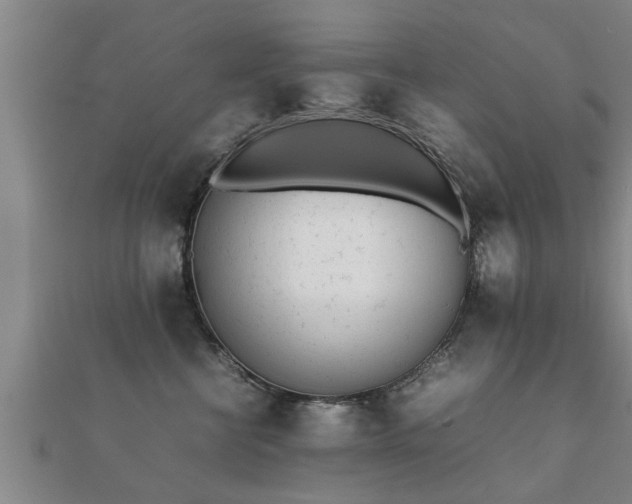 X0000112050570200908111352