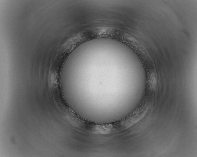 X0000112050571200908111353