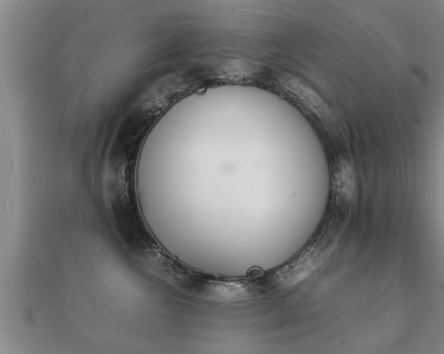 X0000112050572200908111353