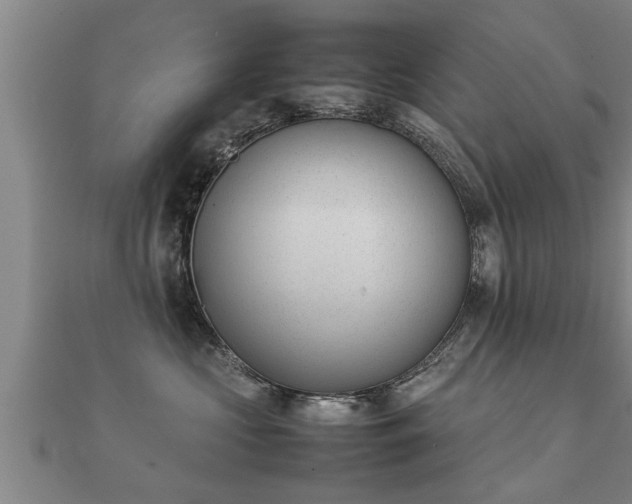 X0000112050573200908111353