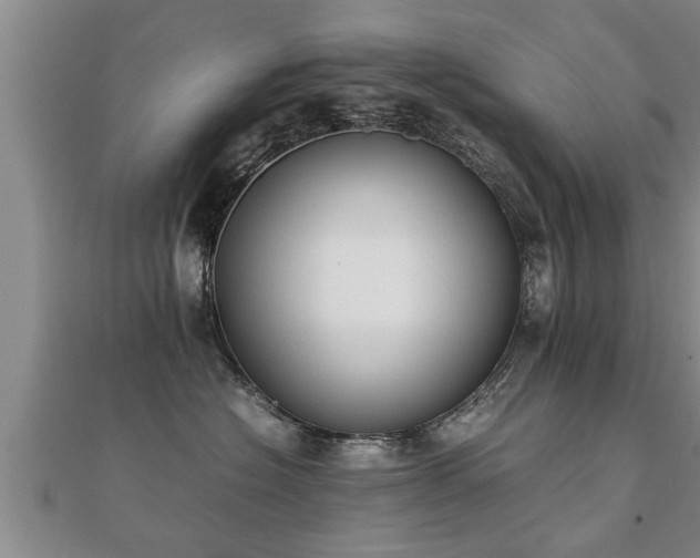 X0000112050574200908111353