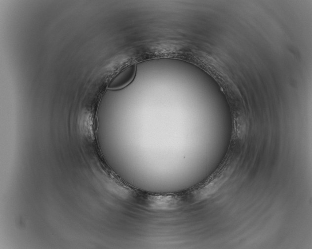 X0000112050575200908111353