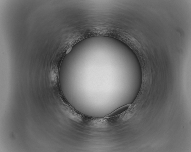 X0000112050576200908111353