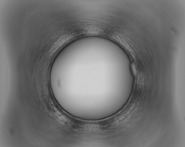 X0000112050577200908111352