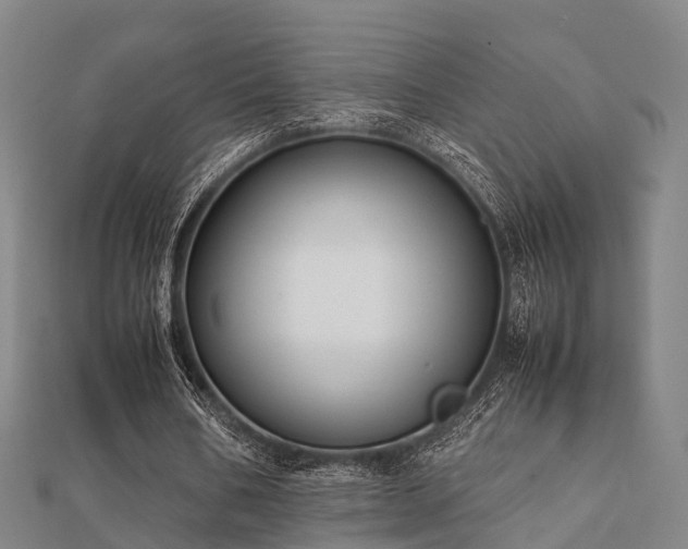 X0000112050578200908111352