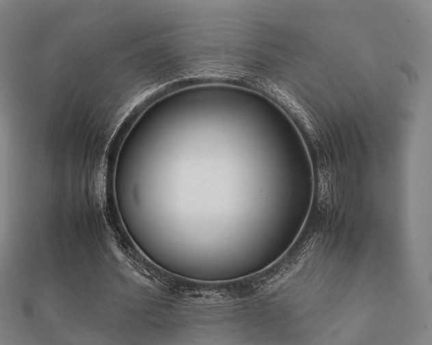 X0000112050580200908111352