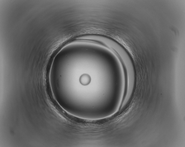 X0000112050581200908111352