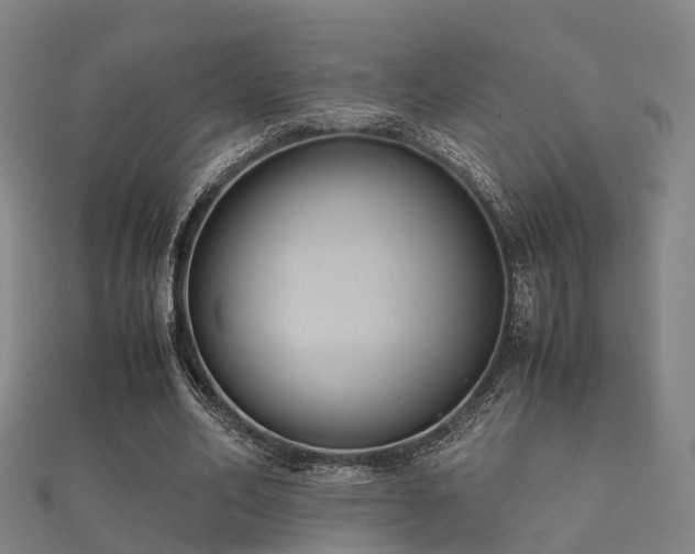 X0000112050582200908111352