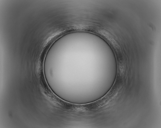 X0000112050583200908111352