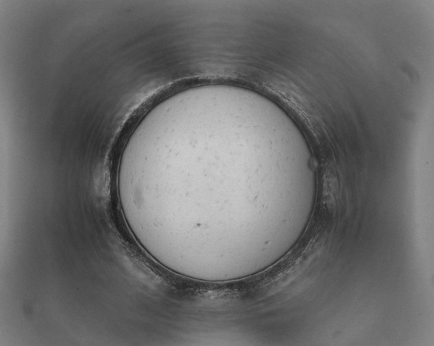 X0000112050584200908111352