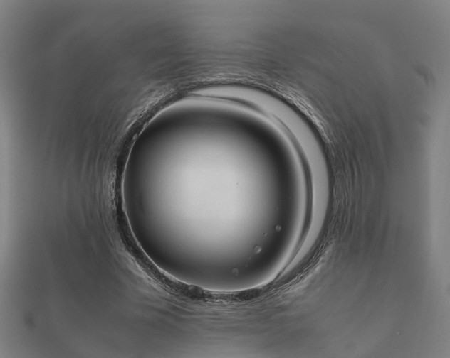 X0000112050585200908111352