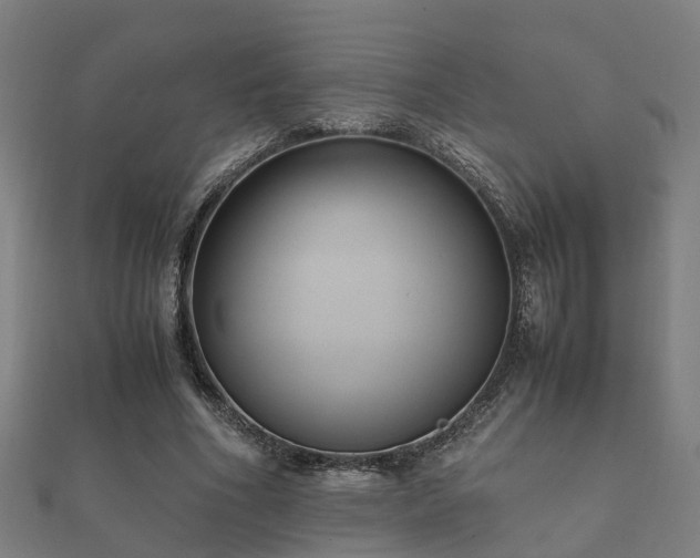 X0000112050586200908111352