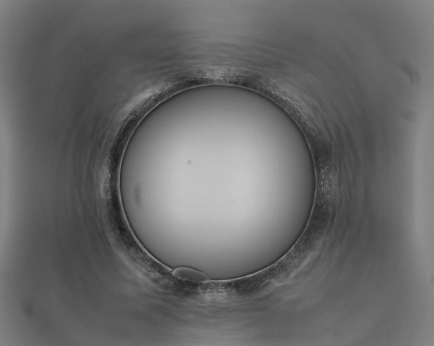 X0000112050587200908111352