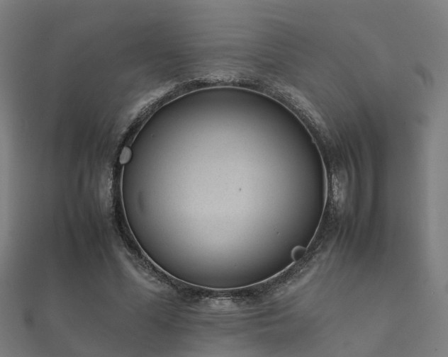 X0000112050588200908111352