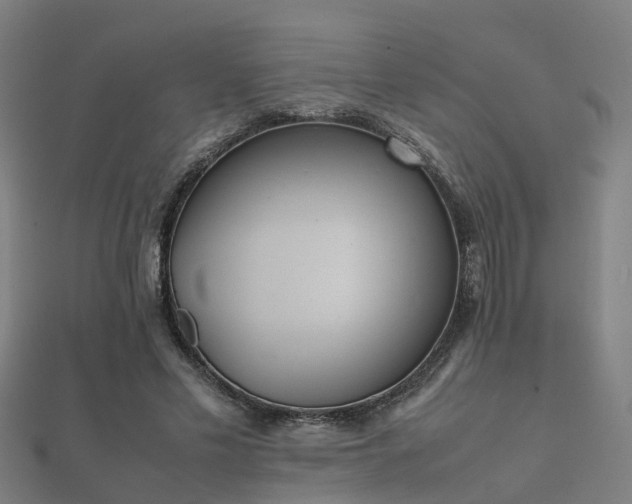 X0000112050589200908111352