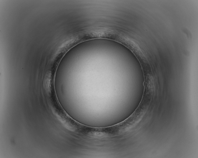 X0000112050590200908111352