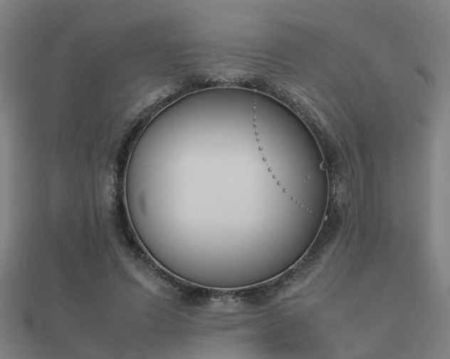 X0000112050591200908111352