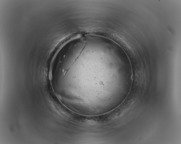 X0000112050592200908111352