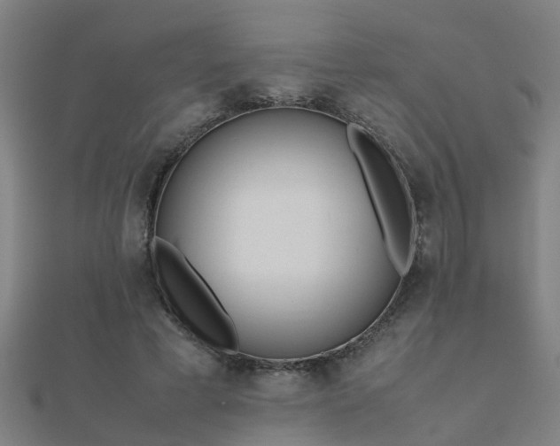 X0000112050593200908111352