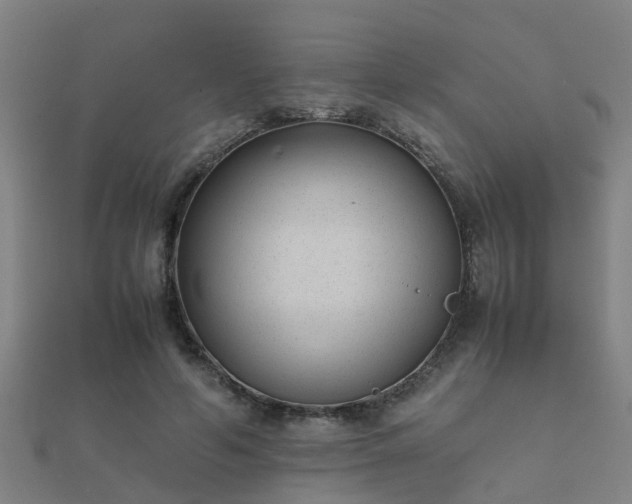 X0000112050594200908111352