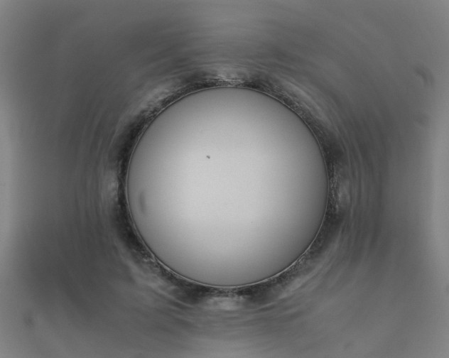 X0000112050595200908111352