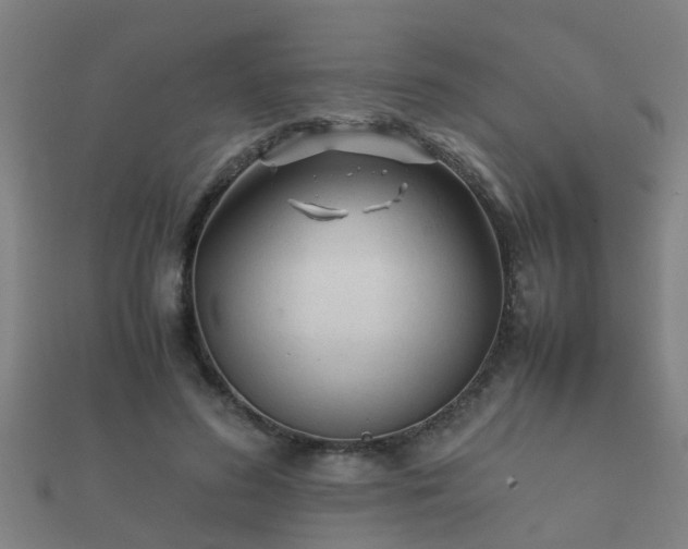 X0000112050596200908111352