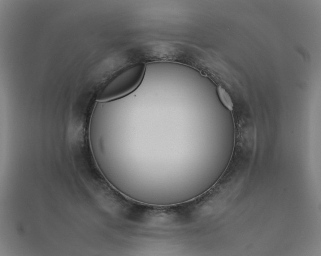 X0000112050597200908111352