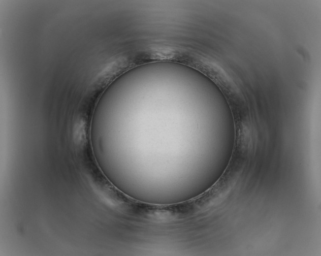 X0000112050598200908111352