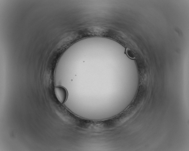 X0000112050599200908111352