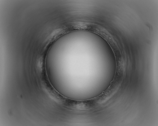 X0000112050600200908111352