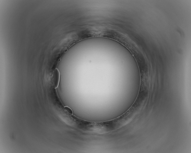 X0000112050601200908111352