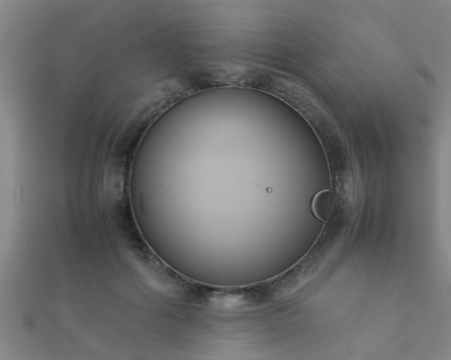 X0000112050602200908111352