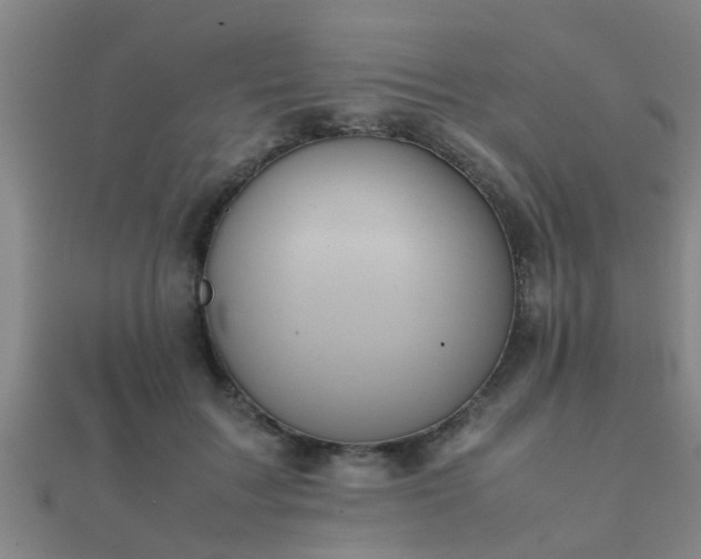 X0000112050603200908111352