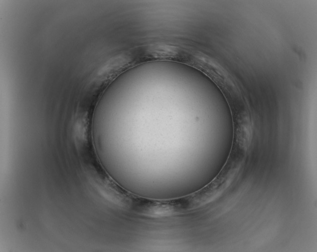 X0000112050604200908111352