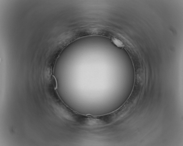 X0000112050605200908111352