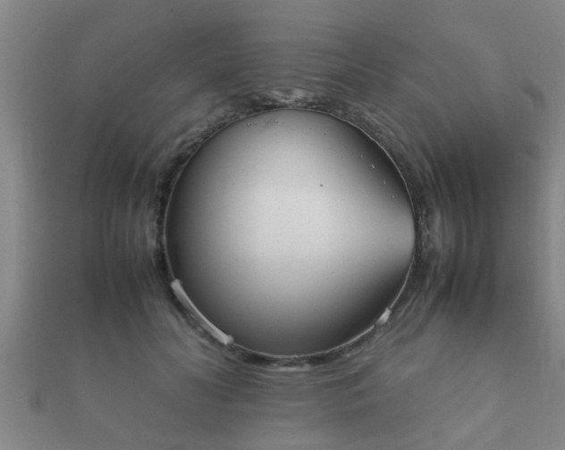 X0000112050606200908111352