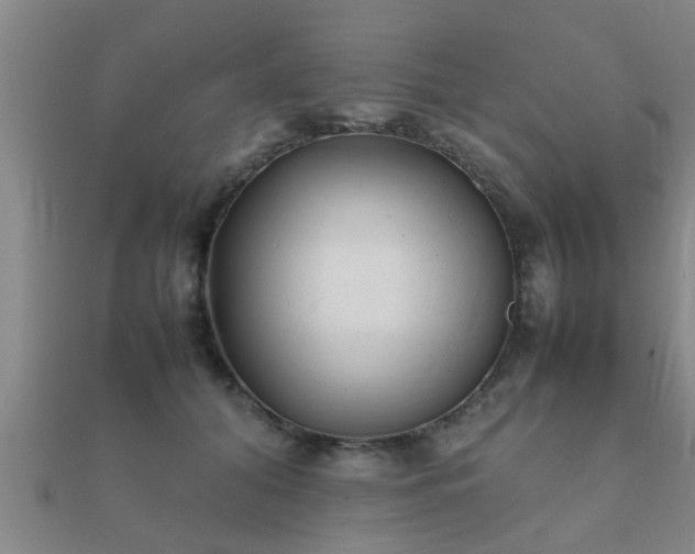 X0000112050608200908111352